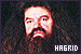 Harry Potter: Hagrid