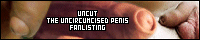 Penises: Uncircumcised