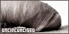 100x50 button