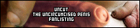 200x40 button