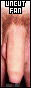 31x88 button