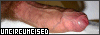 100x35 button