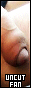 31x88 button