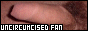 88x31 button