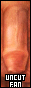 31x88 button