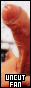 31x88 button