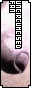 31x88 button